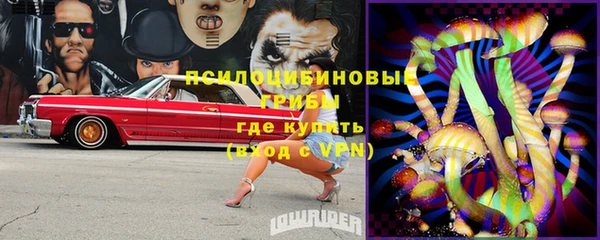 прущие крисы Белоозёрский