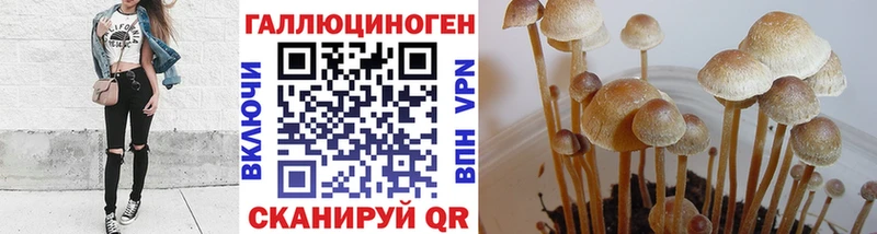 Галлюциногенные грибы прущие грибы  Купить  Маркс 